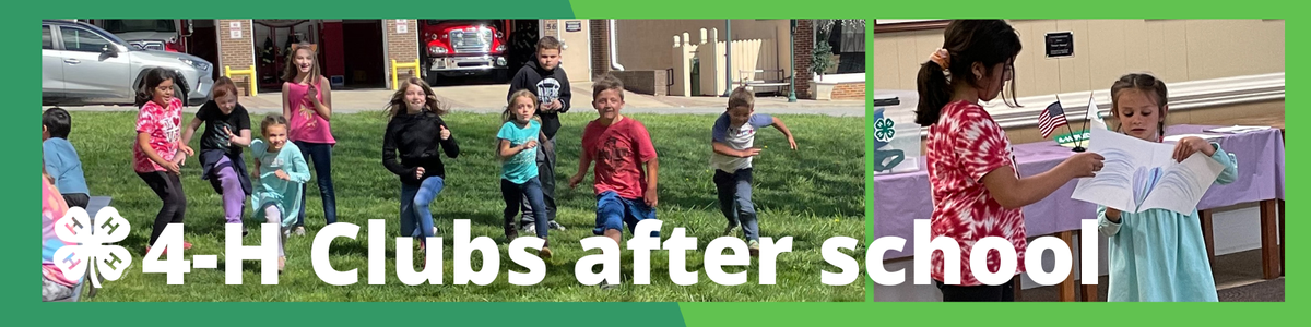 4-H Clubs after school.
