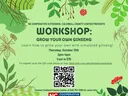 ginseng flyer
