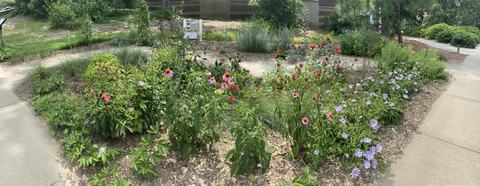 Interactive Garden