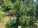Extension Volunteer standing beside her garden