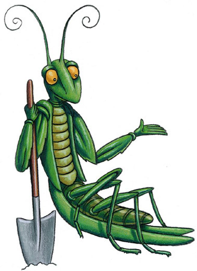 JMG Praying Mantis mascot