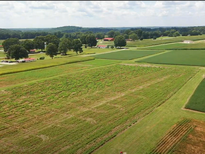 Aerial view of rectangular crop fields and scattered farm buildings in rural landscape