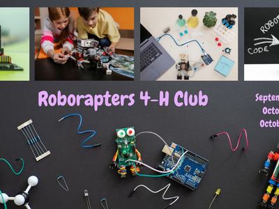 robot circuts for roboraptors club