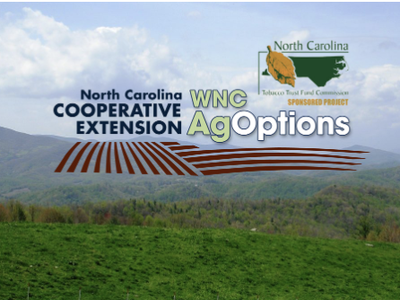 WNC AgOptions Logo
