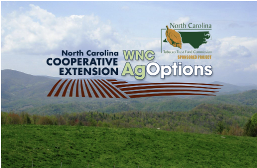 WNC AgOptions Logo