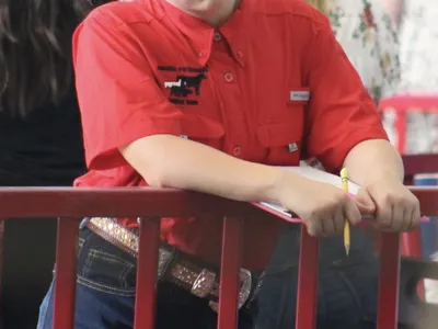 child at a livestock competition