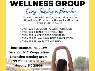 Walk for Wellness Group