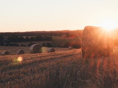 Haybale in field