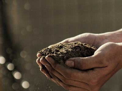 Hands holding soil