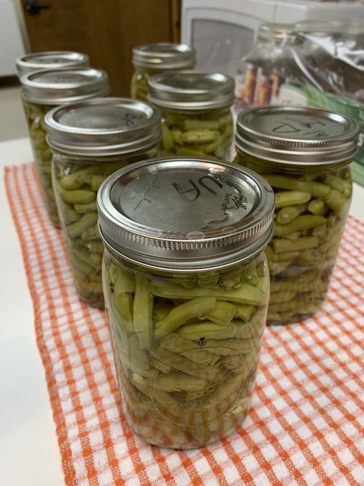 CAnned Green Beans