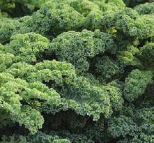 green kale