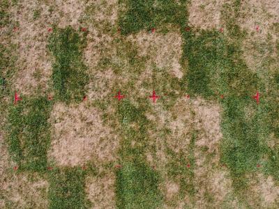 Aerial view of patchy grass with red survey grid marks and handwritten text "PBI" at bottom left
