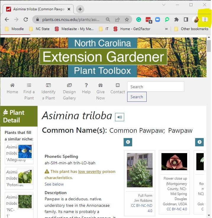 Screen Shot - Plants.ces.ncsu.edu