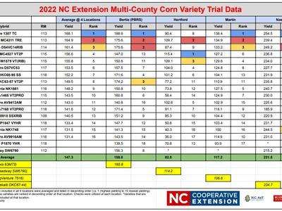 2022 NC Extension multi-county corn variety trial data table listing hybrids and yields by county