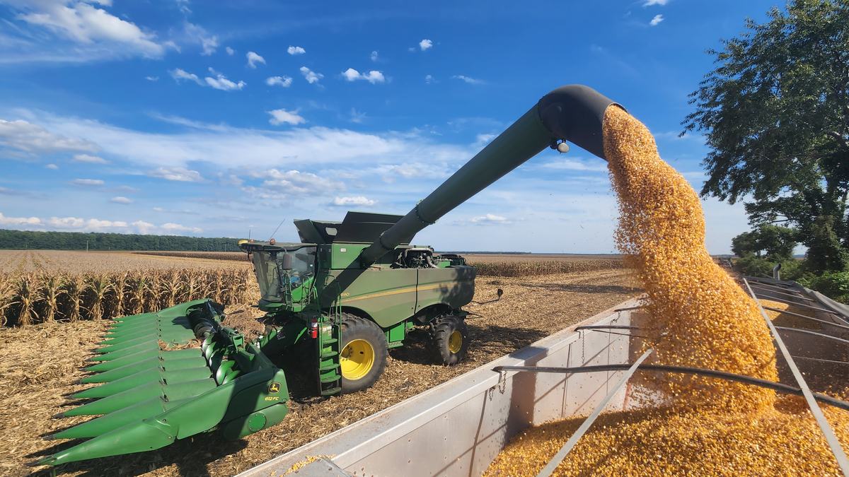 Combine Unloading Corn