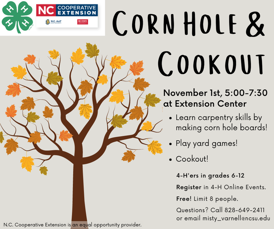 autumn tree, corn hole & cookout