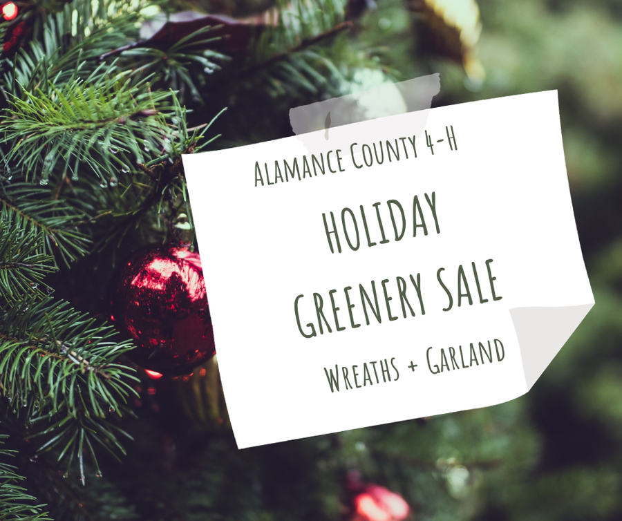 holiday greenery