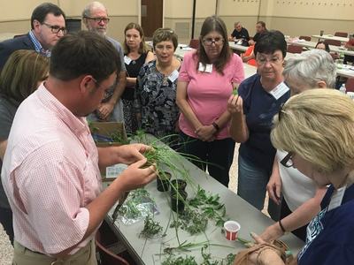 A group of Extension Master Gardener volunteers inspect a table with plant specimens.