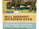 Black bull grazing; text: "Nov 12", "Bull Breeding Soundness Exam", "WNC Regional Livestock Center 8:00am–2:00pm"