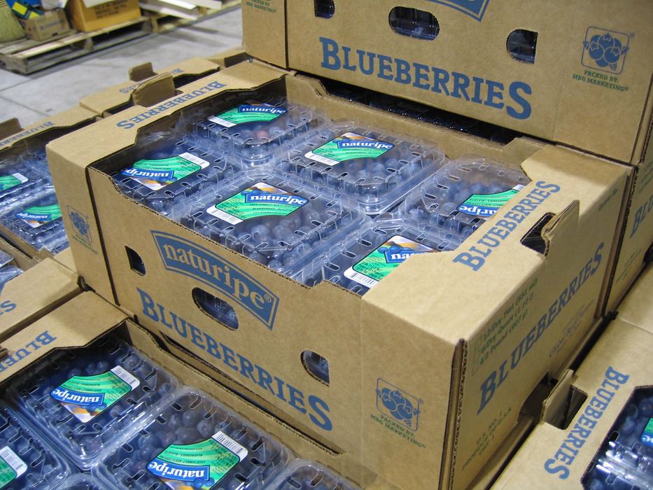 Blueberry clamshell pack