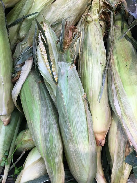 Dry, shriveled husks indicate old product. 