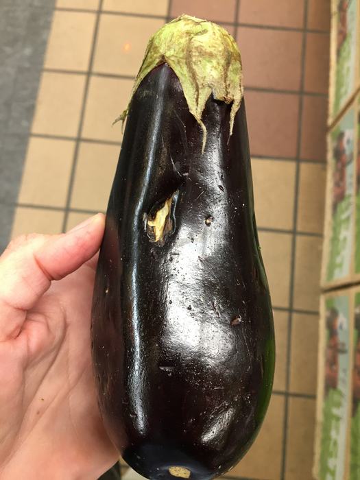 eggplant with injury