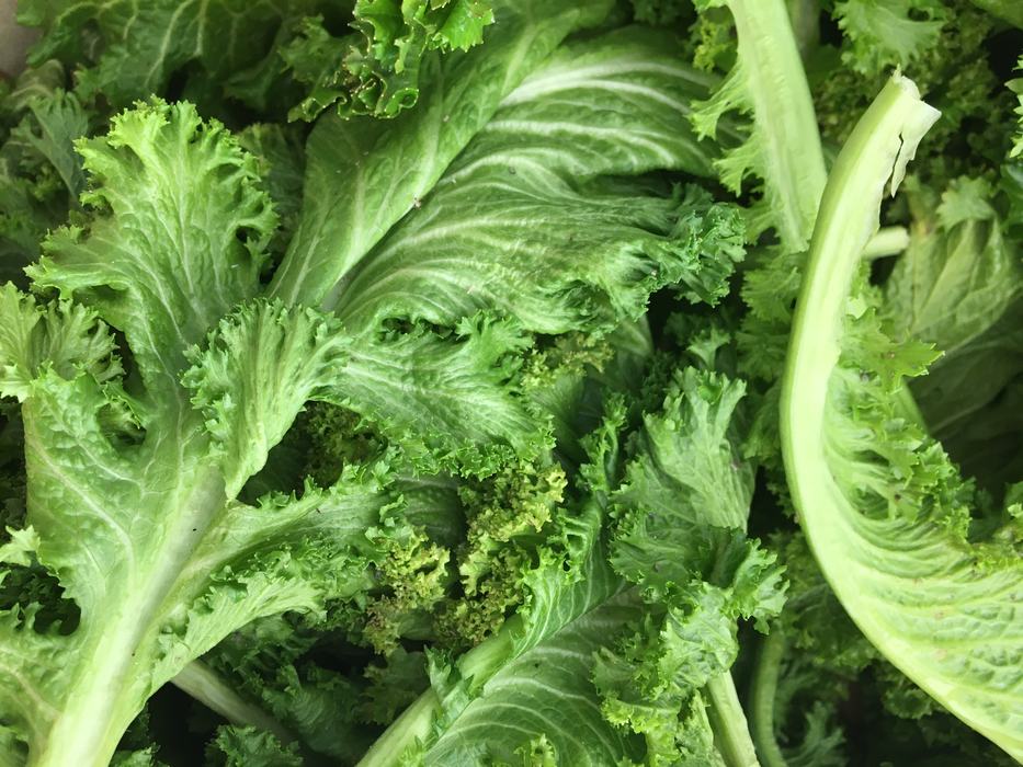 bright green mustard greens