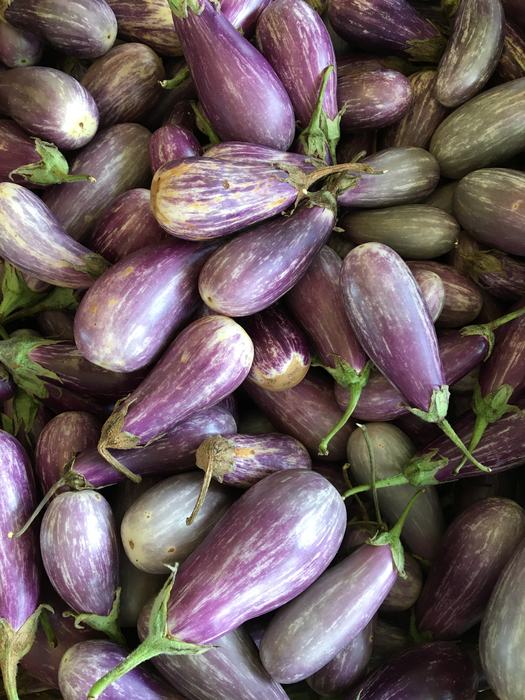 purple and white eggplant