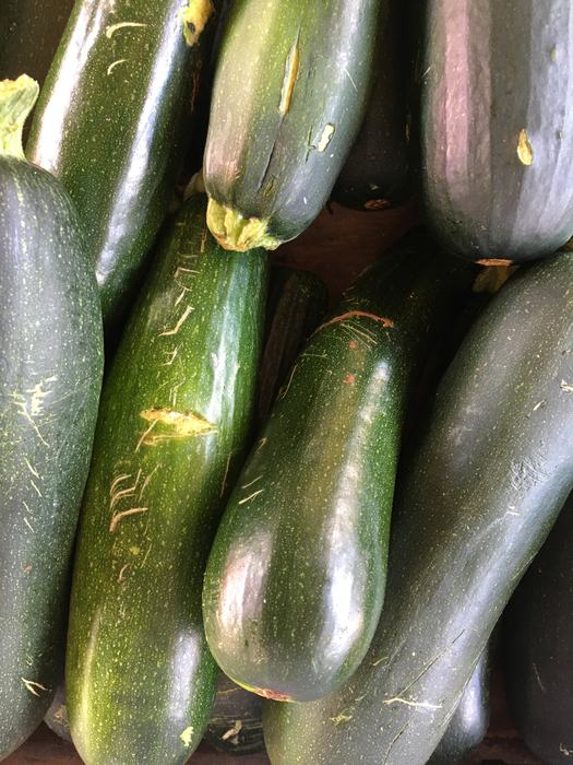 Zucchini showing scarring on rind. 