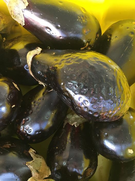 Eggplant with visible pitting.