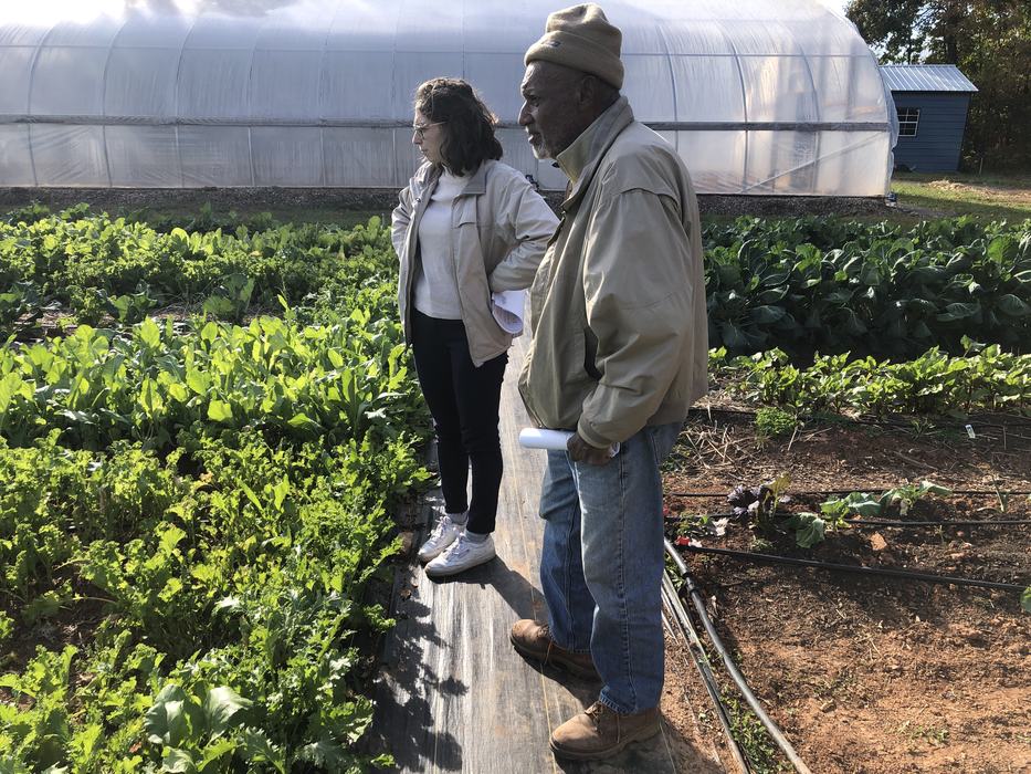 Two people inspect a garden bed. 