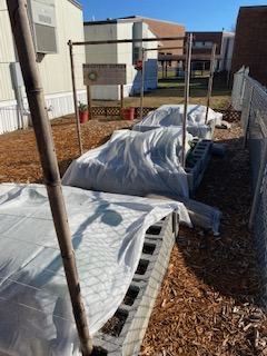 Three raised beds with white sheets covering them. 