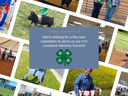 Tyrrell County 4‑H seeking volunteers for Livestock Advisory Council; collage of youth showing animals