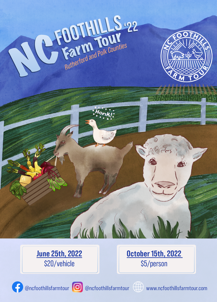 Promotional image of a sheep looking at the audience with a goat and a goose in the background.