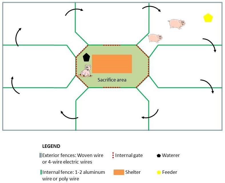 Paddock Design