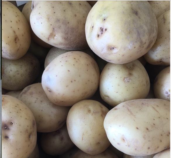 white new potatoes
