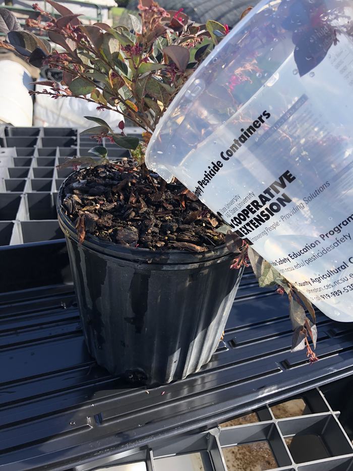 Water being poured into plant container