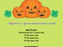 Pumpkin Decorating Contest