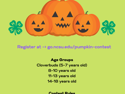 Pumpkin Decorating Contest