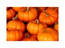 Pumpkins