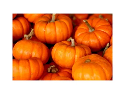 Pumpkins