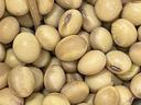 A pile of Soybean.