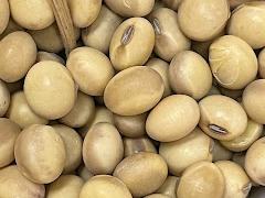 A pile of Soybean.
