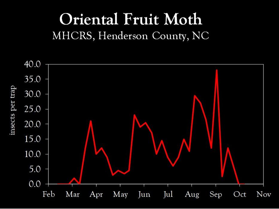 Chart showing insect population trends