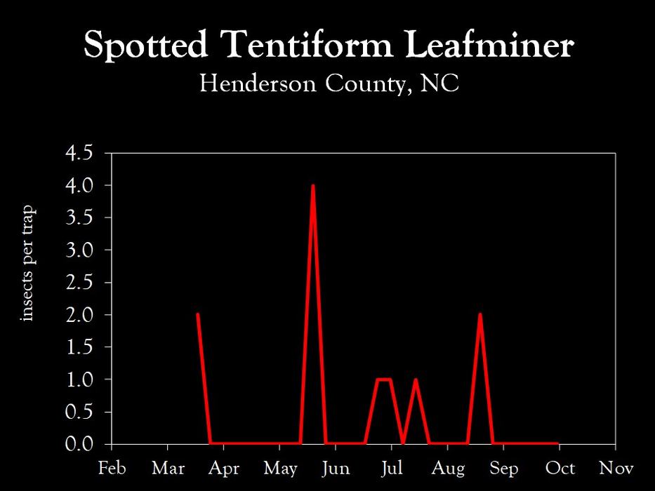 Chart showing insect population trends