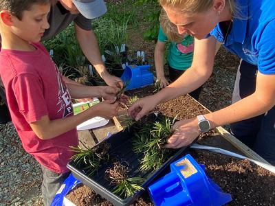 Adults and children transplanting small plants into trays with potting soil