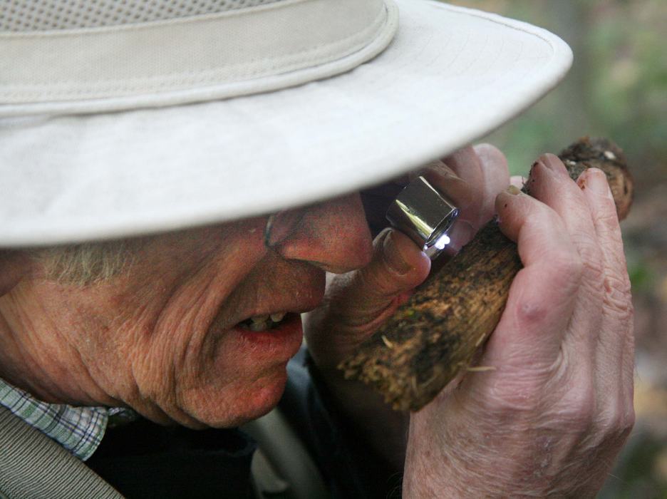 Looking through a loupe