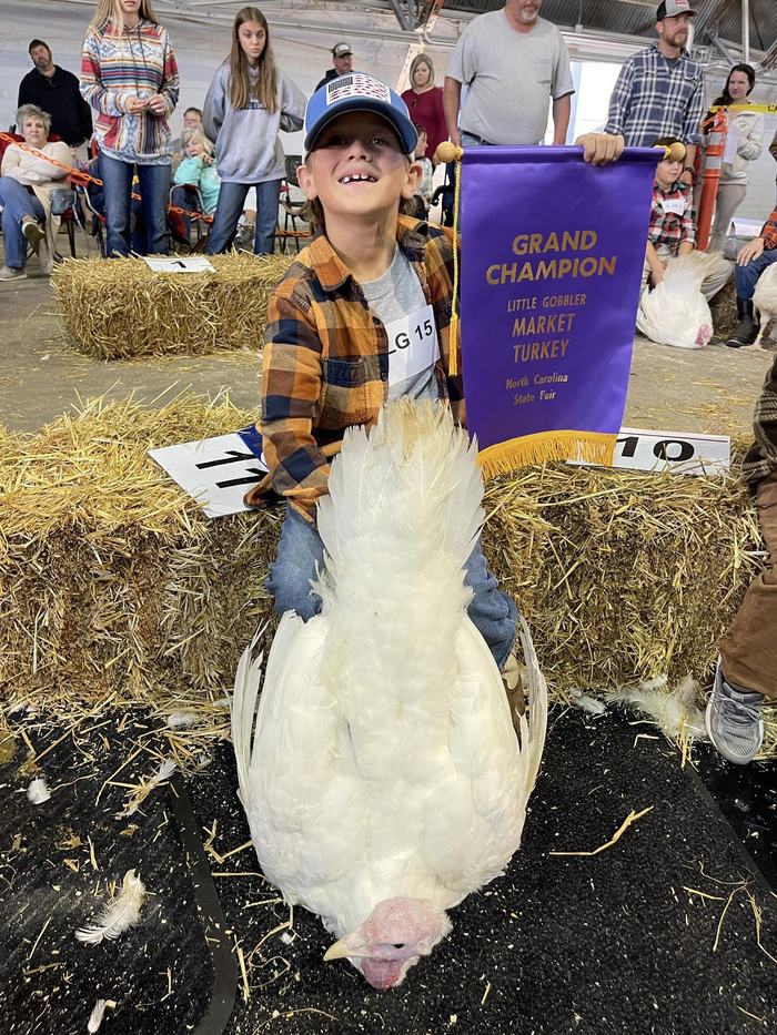 Little Gobblers Turkey