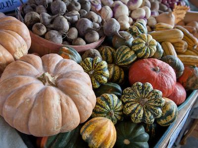 Collection of fall produce including pumpkin, acorn squash, and butternut squash.