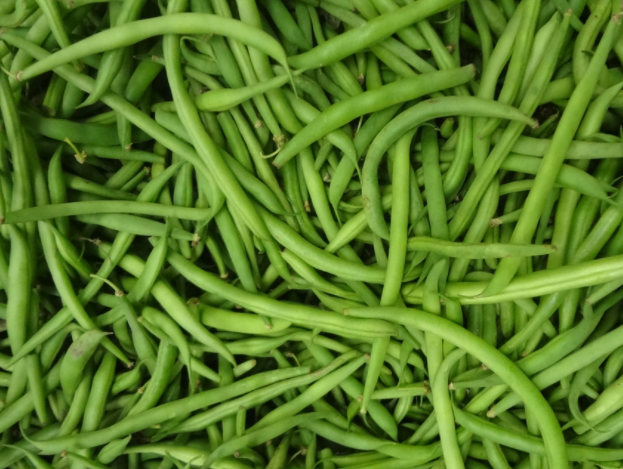 Fresh green beans.
